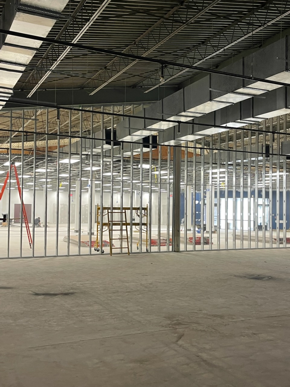 Carp - cape-may-true-value